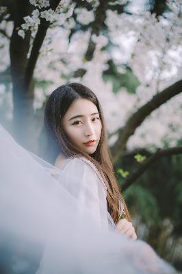 星辰影视免费观看电视剧高清