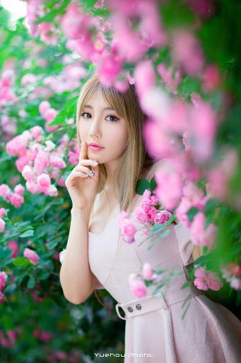 大地二资源在线高清免费